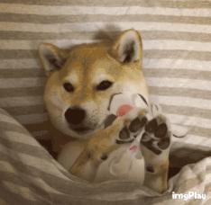 范冰冰欧莱雅面霜,网传范冰冰