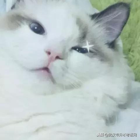 经济独立的赚钱方法,大学经济独立该怎么做