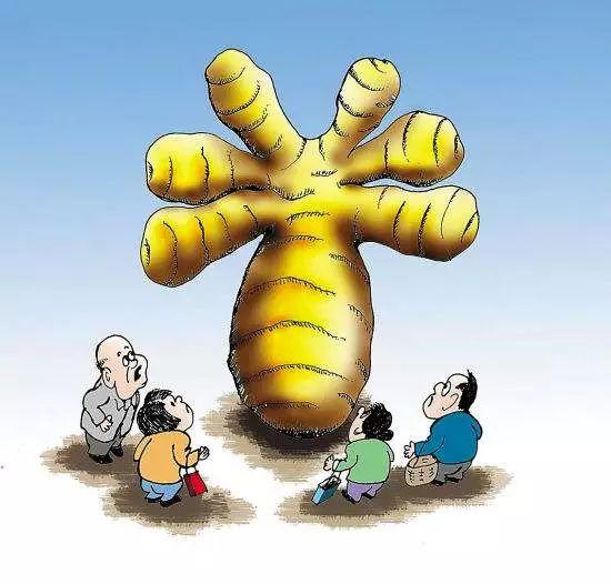 康美直销最新状况,康美背后的故事