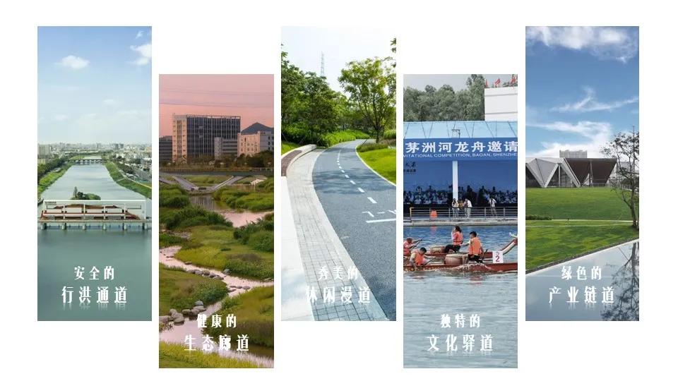 蝶变茅洲河，遇见城之美/同济设计TJAD