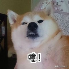 西甲第二轮吐槽：库瓦的裆，格导的庆祝动作