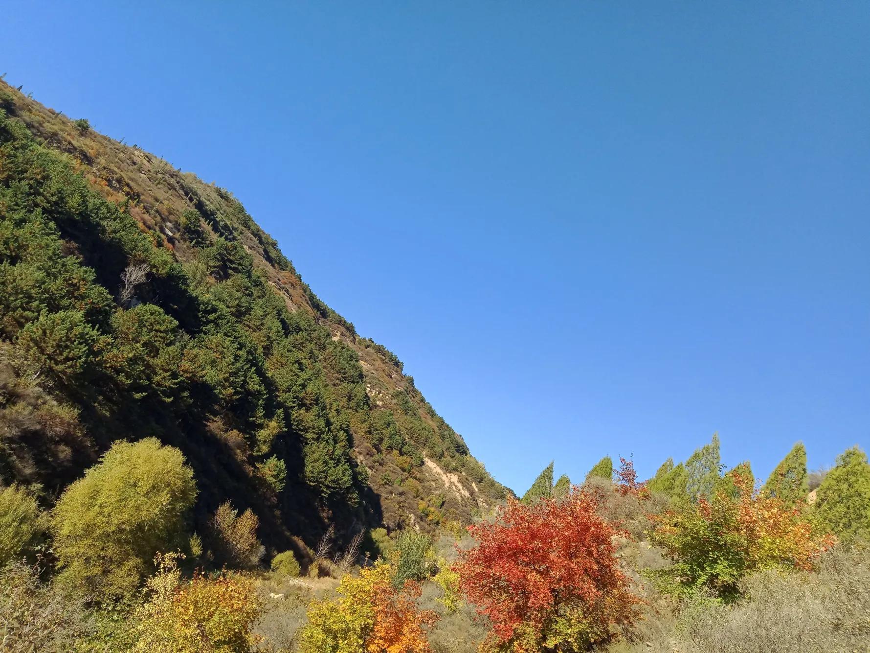 碧岩龙泉山庄,万柏林龙泉山庄