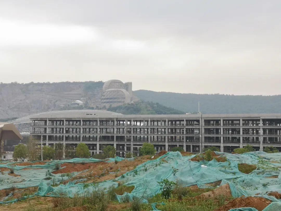 南京新建游乐园有哪些,南京游乐园开放通知最新