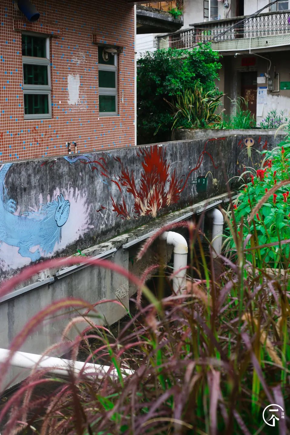 全深圳都要羡慕住在沙井的人,羡慕深圳有房的人