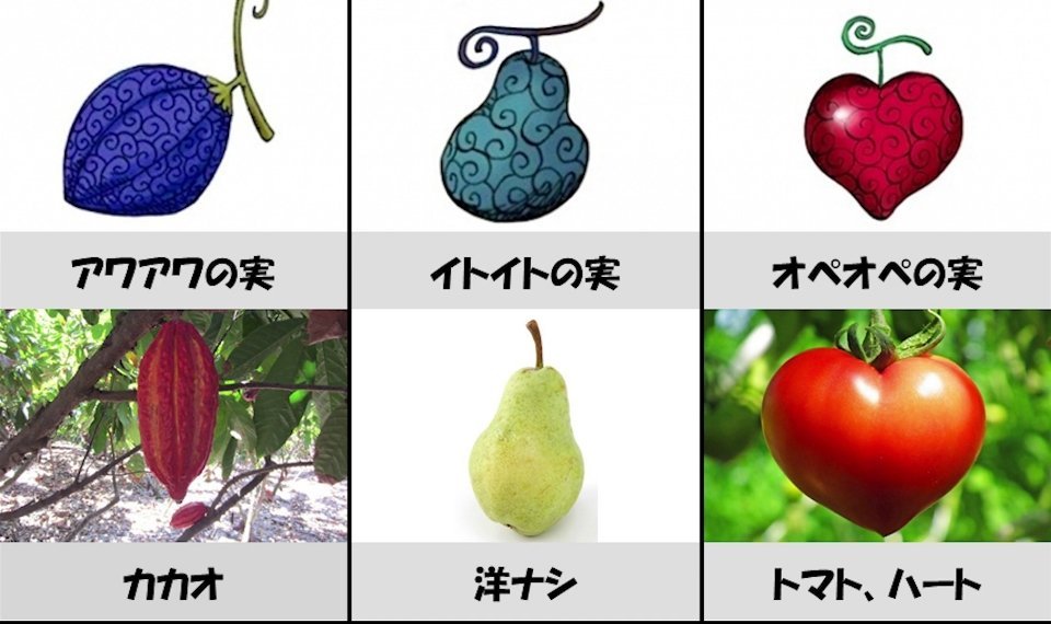 海贼王里恶魔果实怎么来的,海贼王里的恶魔果实真实存在