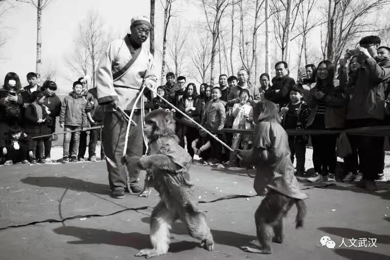 耍猴街头艺人,街头耍猴艺人视频大全