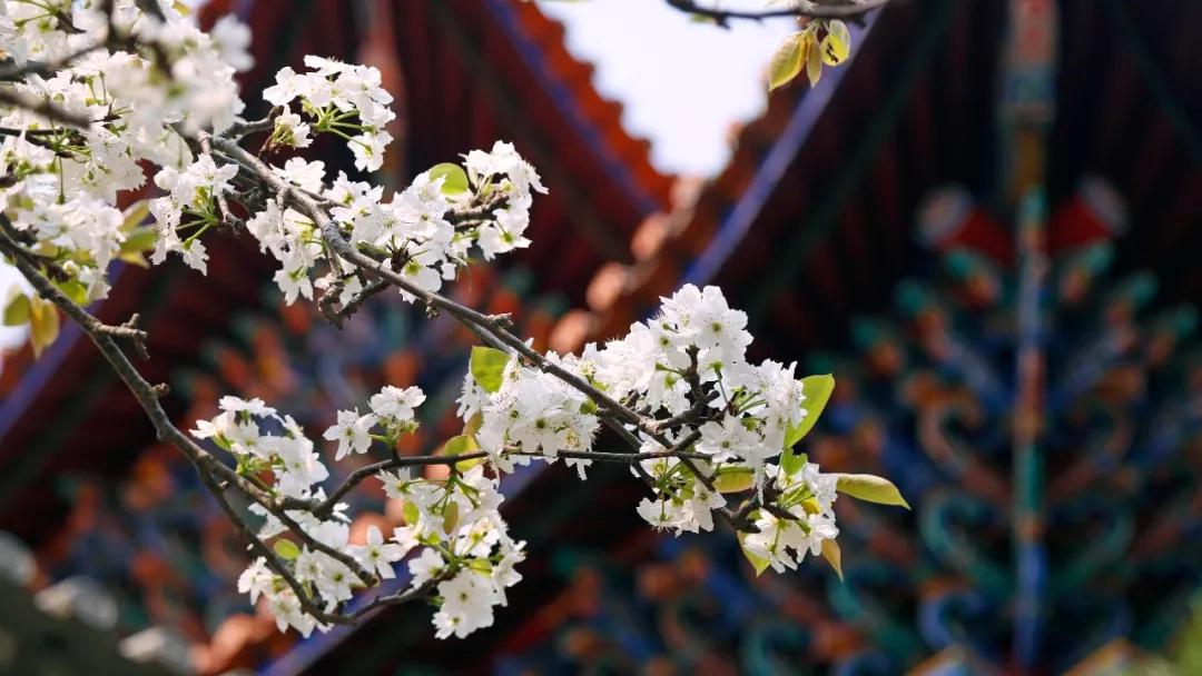 保山有魅力的地方,云南保山有多迷人