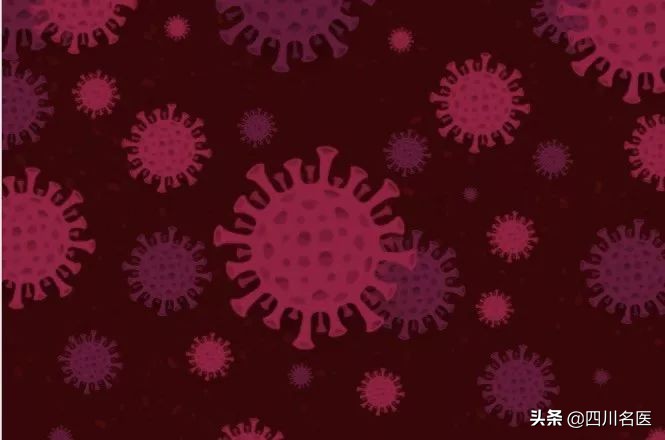 徐文兵讲如何提高免疫力,儿童提高免疫力最好的方法中药