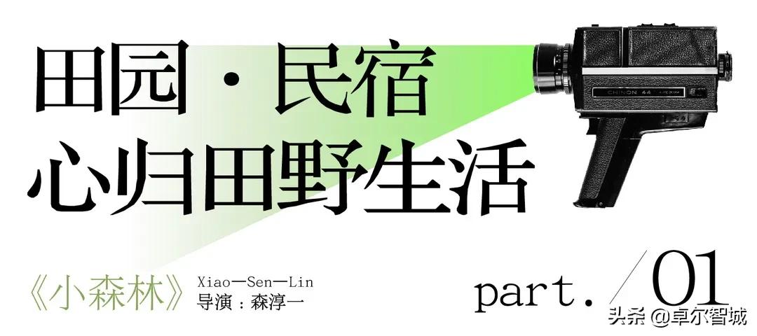 戛纳即将闭幕！但这座美得像电影海报的小镇不能错过