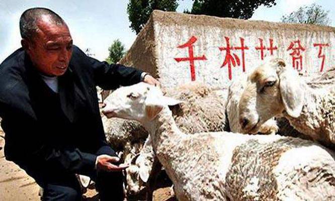 国家出手！马云真没吹牛？农村致富风口来了，刘强东也在其中