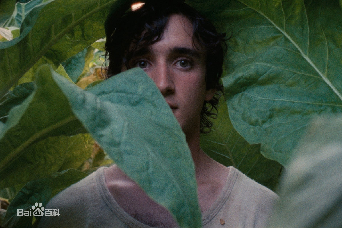 收藏最多的电视剧,收藏最多的电影