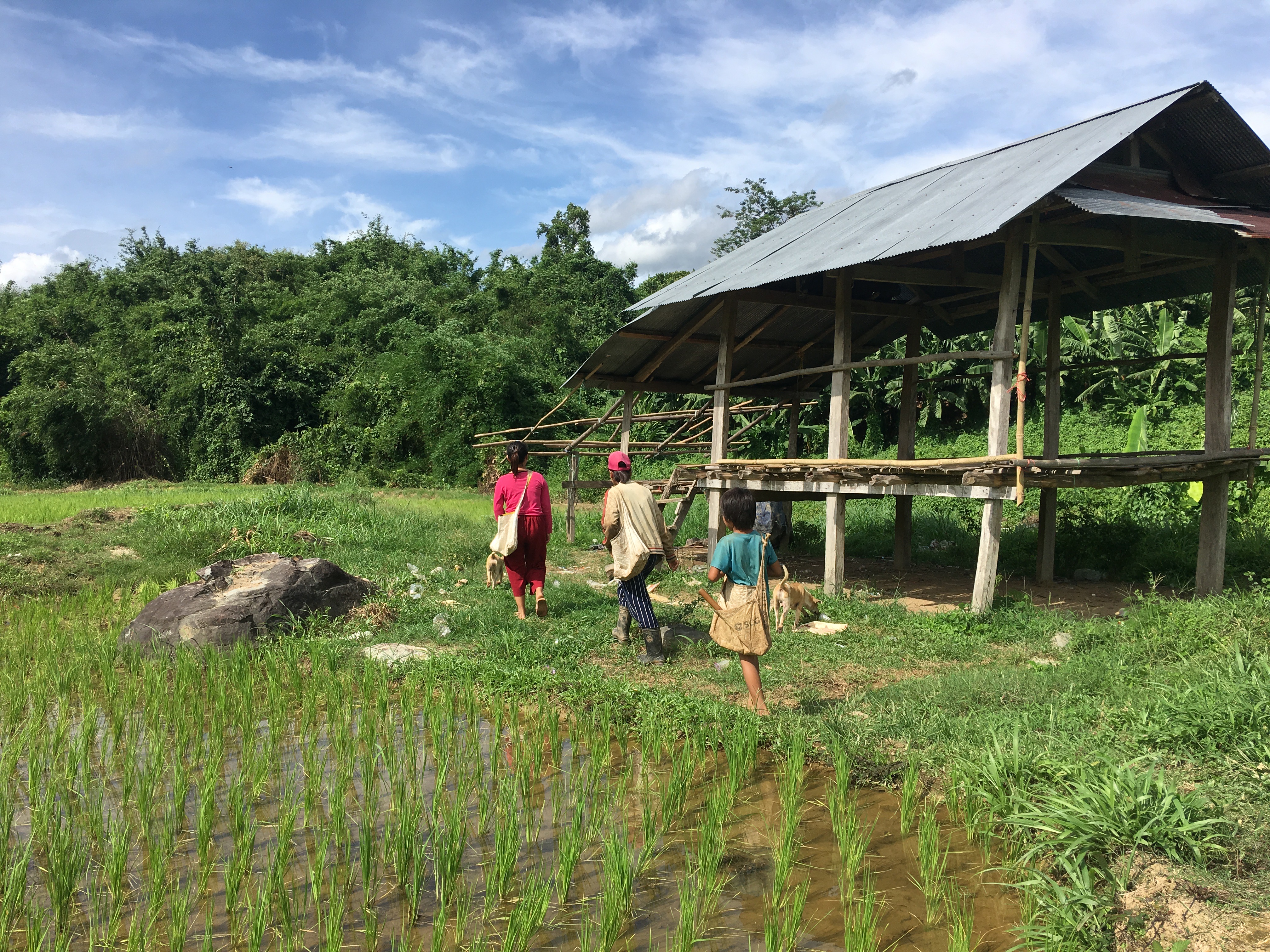 一件衣服进价55赚多少钱合适,一件衣服只赚80块