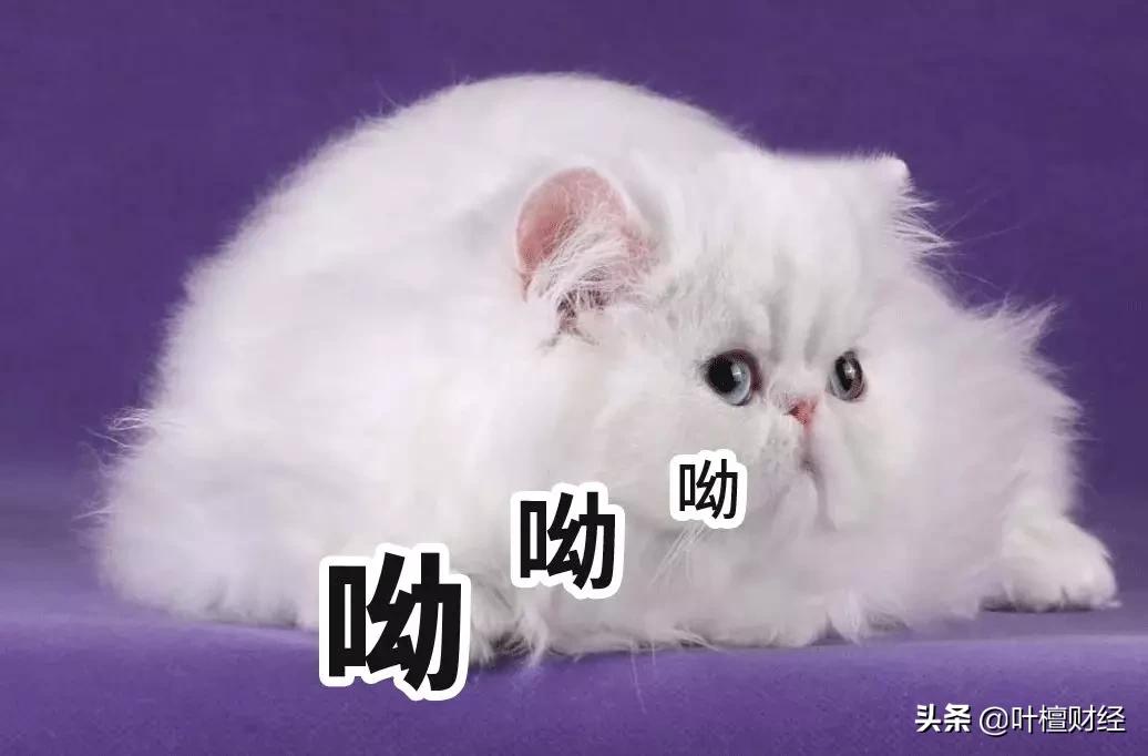 京东方为何大跌不止,京东方被低估了吗