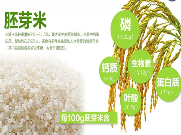 万润智能碾米机,智能鲜米机碾米机