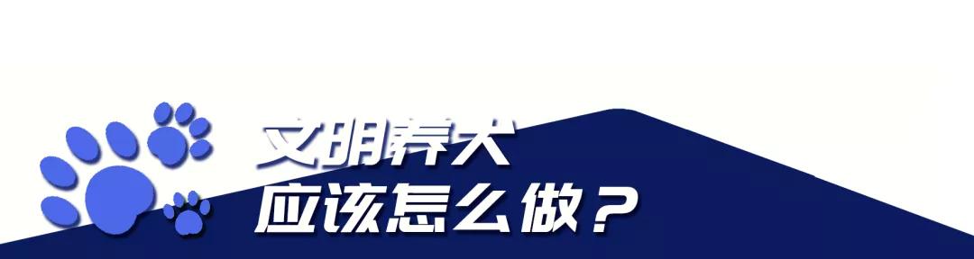 你家狗狗打了狂犬病疫苗了吗,狗狗防疫站打针免费吗