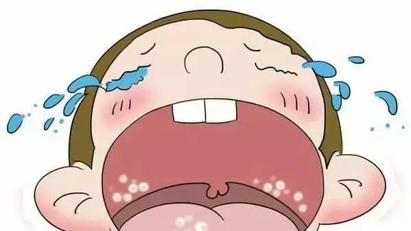 婴幼儿13种菌群,母婴肠道菌群