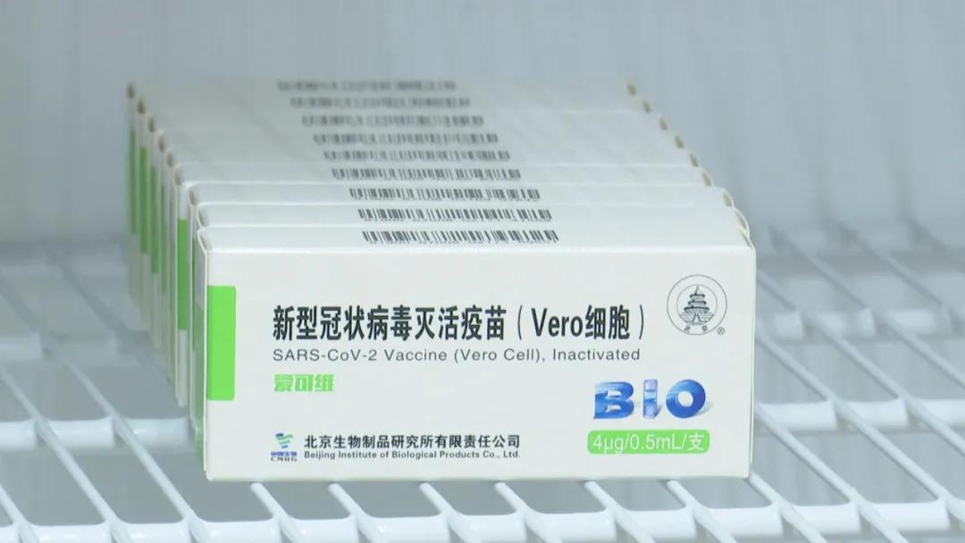 疫苗接种在行动我们一起打疫苗,我们一起打疫苗苗苗