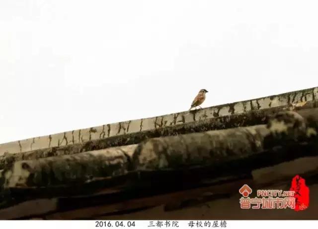 普宁三都中学怎么样,普宁都有哪些学校