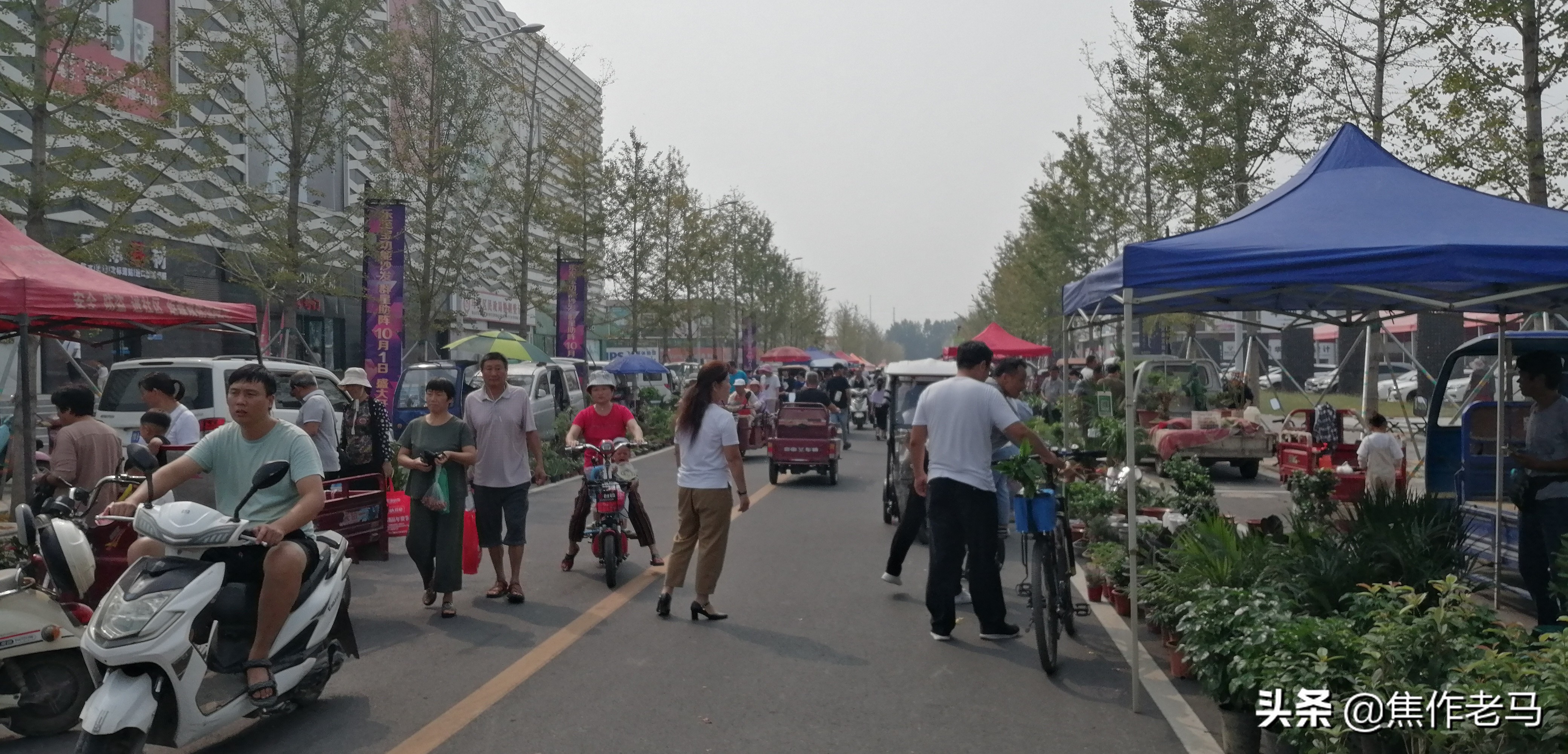 焦作星期天市场搬到鸿运商城了吗,焦作鸿运星期天市场在什么位置