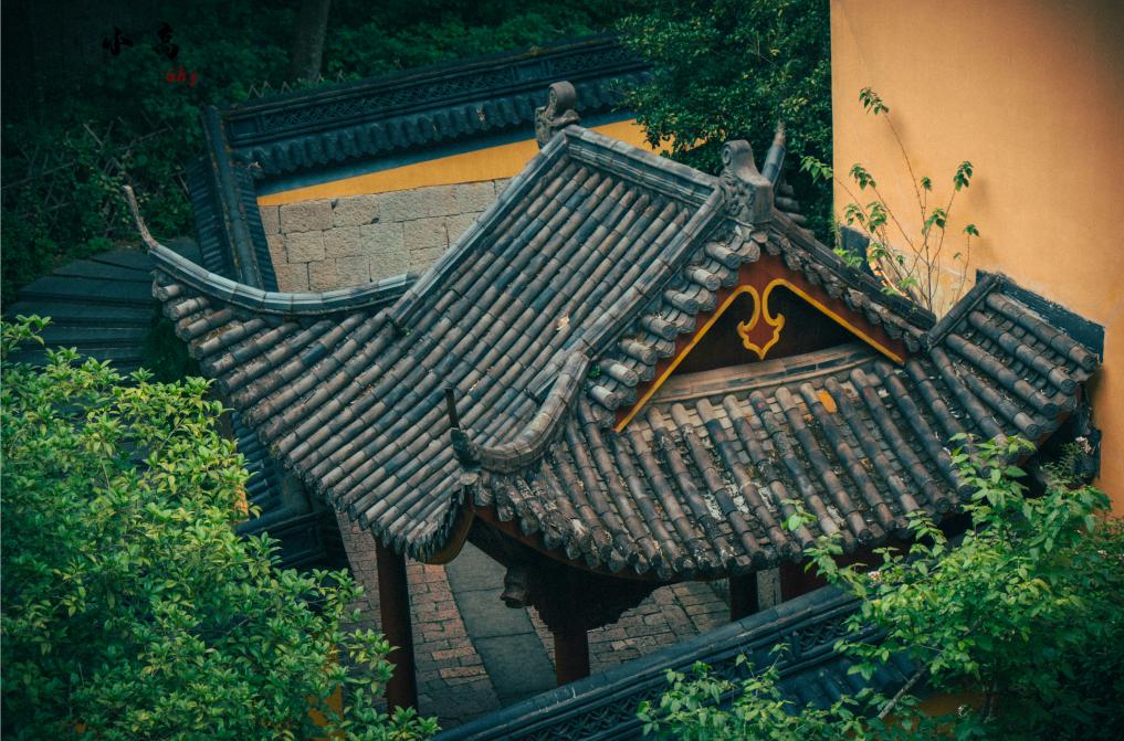 这个荣获浙江小吃冠军的小城已成网红打卡地，为了吃也值得来一趟