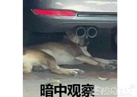 娓告垙閲屼负浜嗚浜哄厖閽辩殑濂楄矾,涓浗娓告垙涓轰粈涔堜細鍑虹幇姘噾濂楄矾