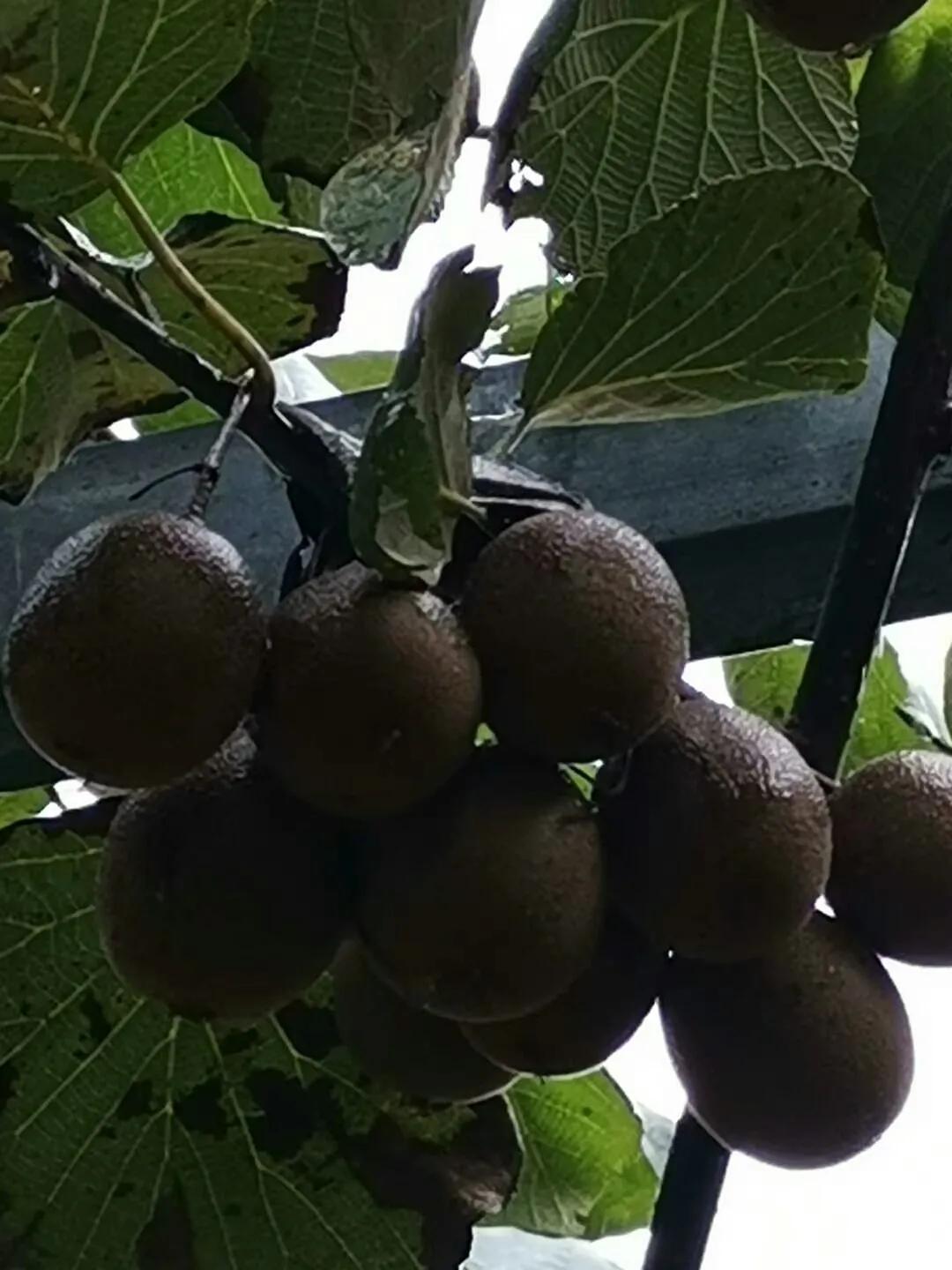 多彩贵州美丽的黔南都匀,美丽贵州都匀市