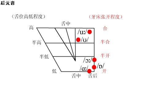 英语语音音素发音视频,英语语音音素逐个讲解