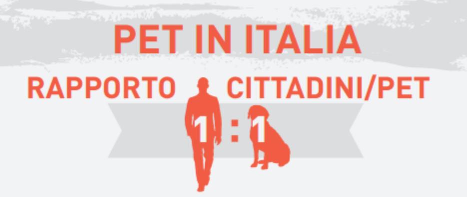 生活在宠物天堂的动物,在天堂的猫狗