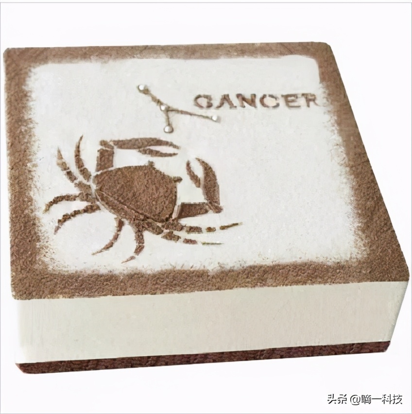 十二星座蛋糕水瓶座,十二星座蛋糕动物