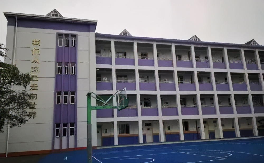 闵行鸡血学校,沪上最鸡血十所小学