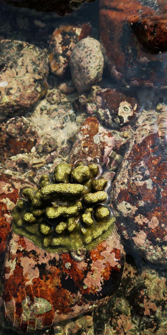 香港最后一片净土避世天堂,香港西贡一日游攻略图