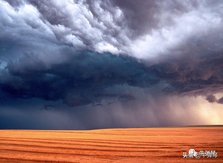 为什么日本的西瓜200元一个,日本西瓜真的算贵吗