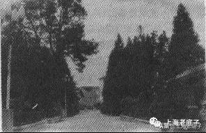 「南汇县篇」回望上世纪八九十年代的上海学校,有侬的母校伐?