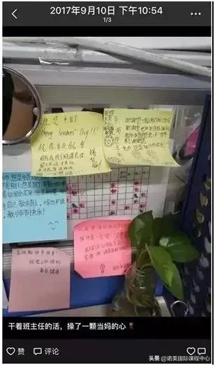 少年派大结局满是遗憾,少年派每个人的结局