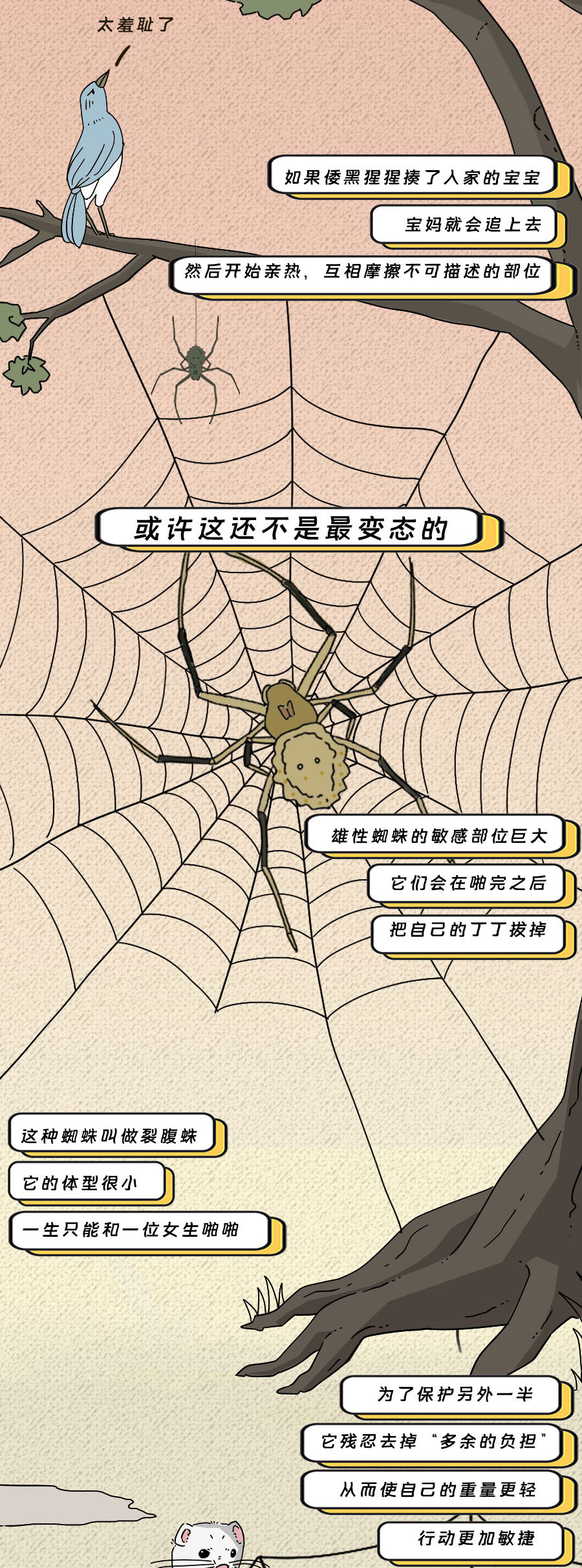 那些羞羞的事:动物是如何啪啪啪的?