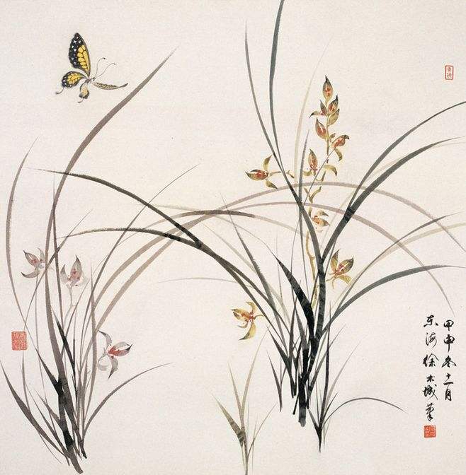 淡彩兰花100幅,顶级淡彩兰花图片