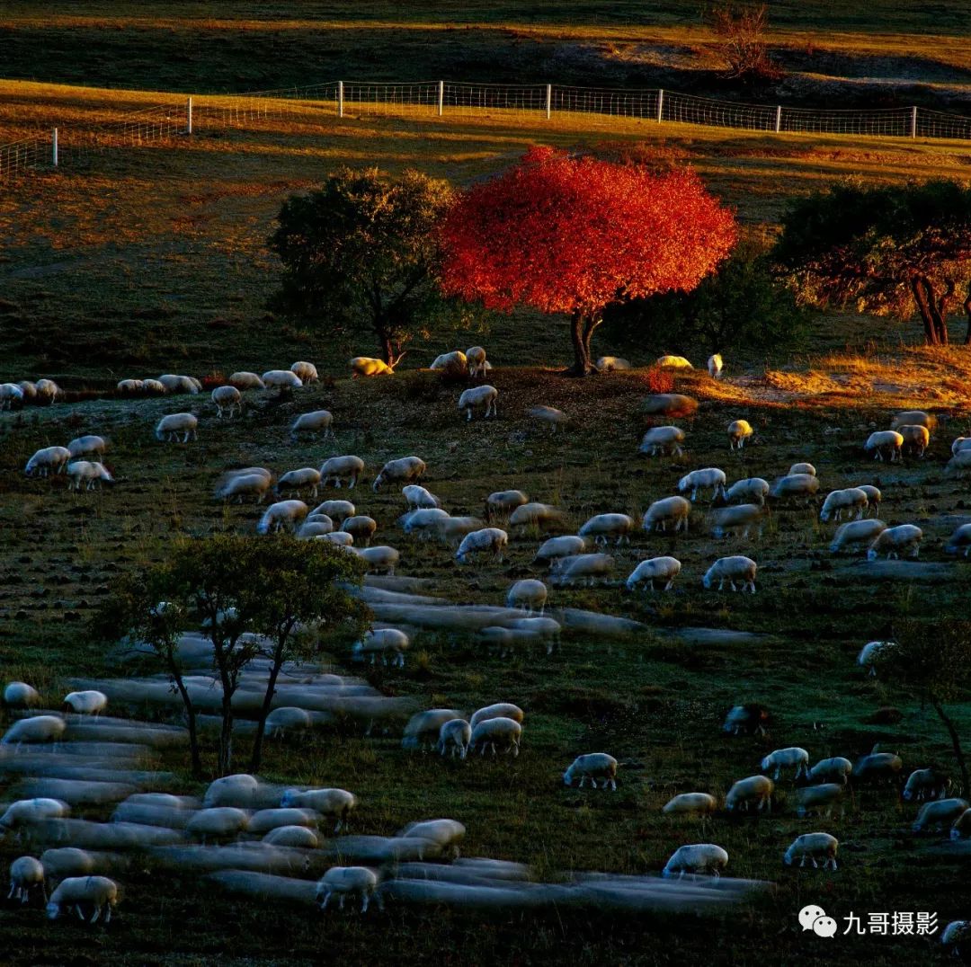 坝上草原天路美景,大美坝上风光系列之一