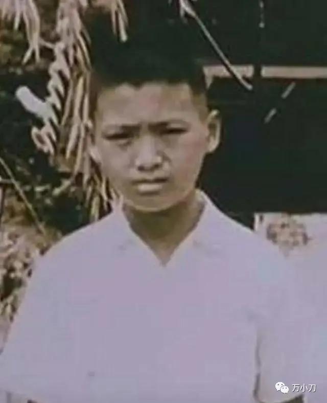 周润发逆天改命合集,周润发风流改命记