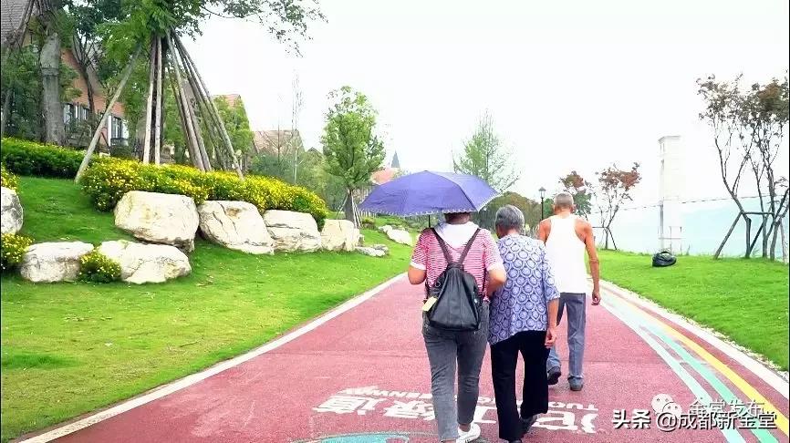 金堂人，你身边这条街已入选成都“最美街道”！