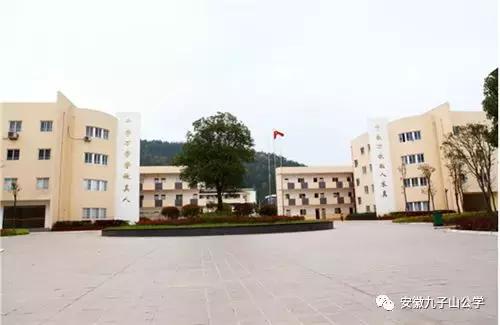 安徽九子山公学青华分校小学,安徽省九子山青华分校