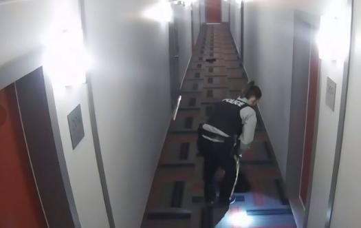 加拿大女警暴打华裔女生,加拿大女性遭施暴