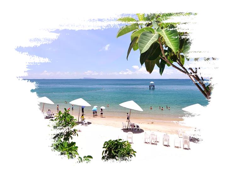 鹏飞乐岛,飞乐岛怎么做逍遥岛主