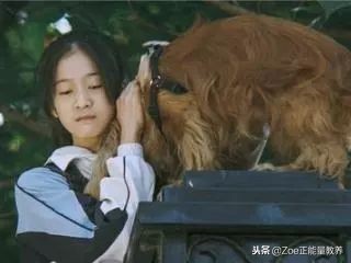 代沟是父母的责任还是儿女的责任,代沟是父母还是子女的责任