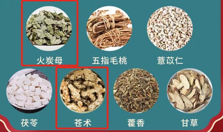 广东的刮痧凉茶,刮痧可以喝凉茶吗