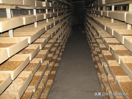 养殖项目注意事项大全图片,养殖项目要注意哪些事项