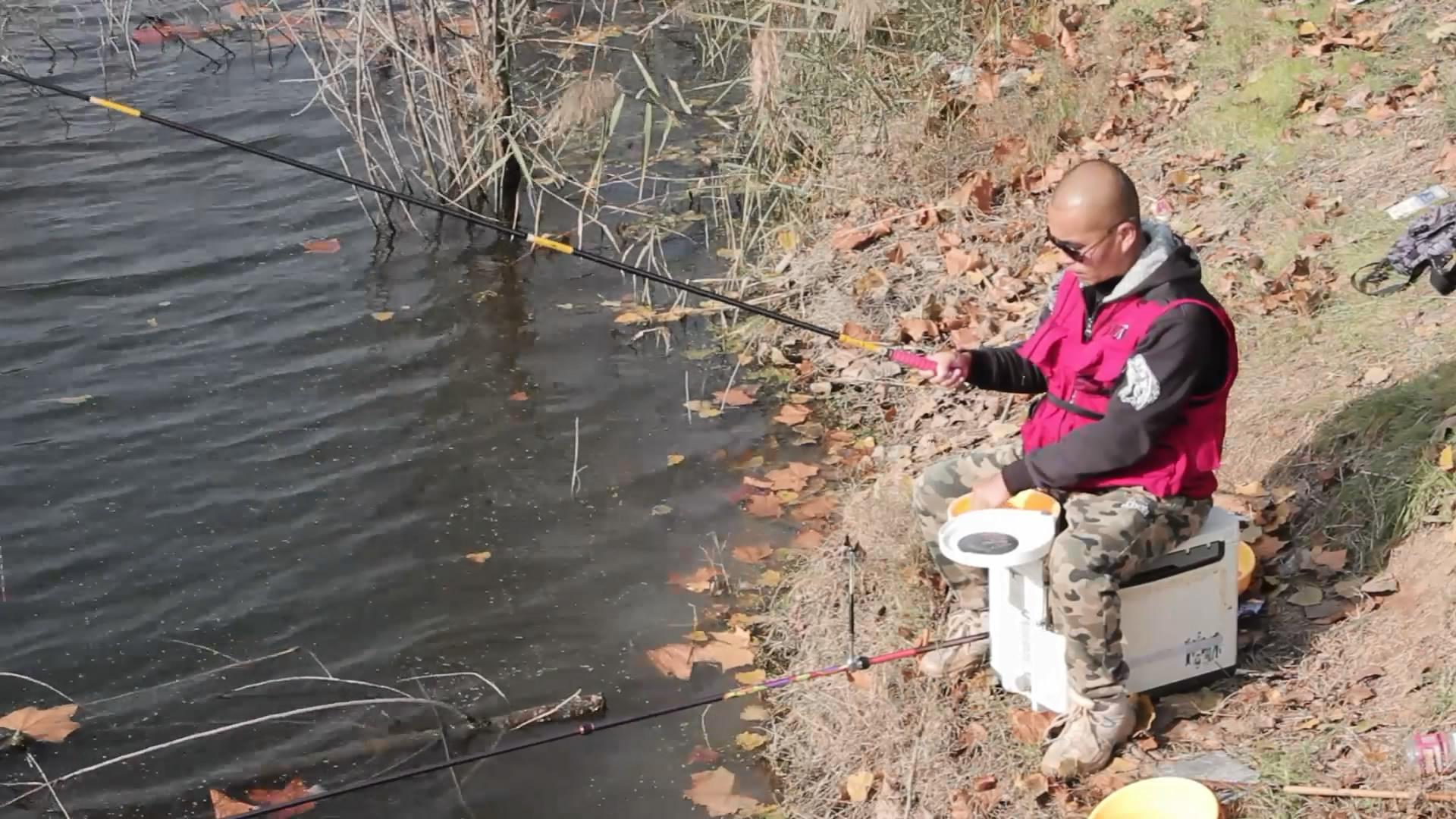 蓝鲫九一八速攻全能腥配比,蓝鲫九一八速攻2号的最好配方