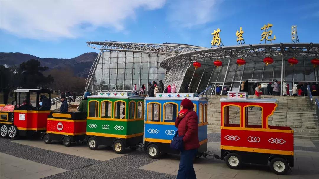 美美美！海淀这个地儿，万株兰花惊艳来袭，你招架的住吗？