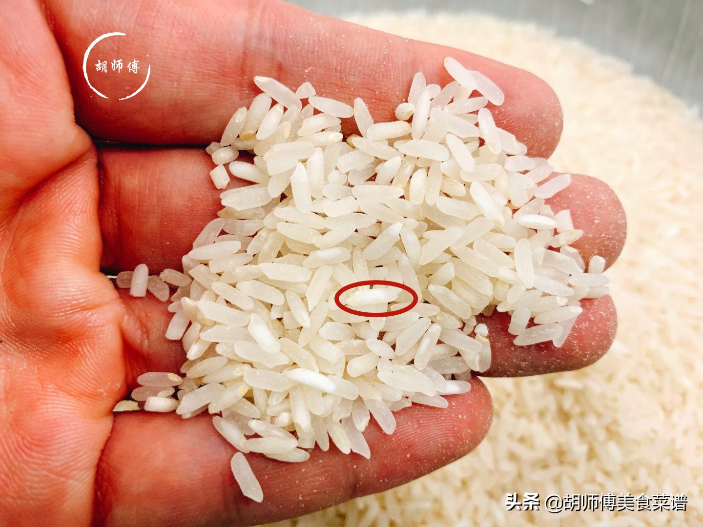 蒸米饭时大米到底要洗几次,蒸米饭怎么洗米