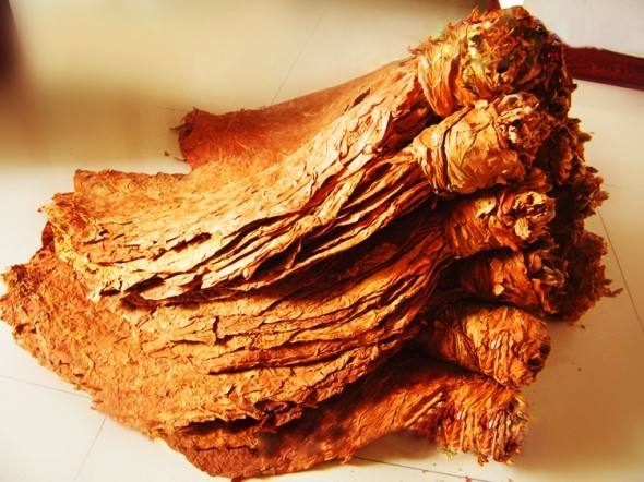 生产队种烟,生产队时代农民