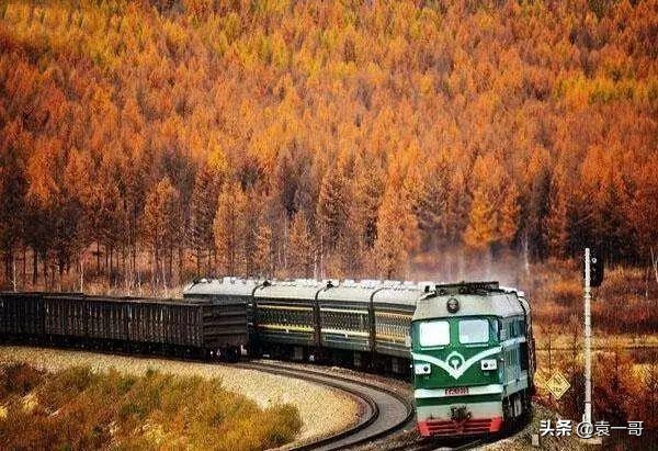 散文生命的列车,散文生命的列车女生版